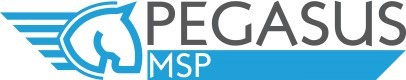 Pegasus MSP S.r.l.